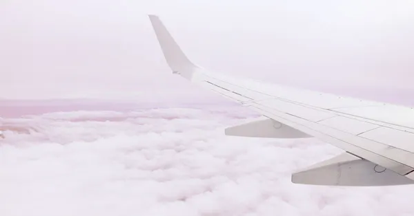 Rumuńskie linie lotnicze Blue Air zawieszają działalność