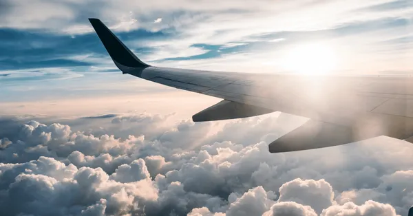 Wizz Air și Ryanair – consecințele încălțării flagrante a drepturilor pasagerilor de zbor