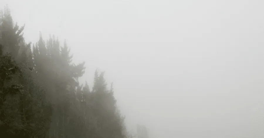 Mgła paraliżuje polskie lotniska. Problemy w Krakowie i Katowicach